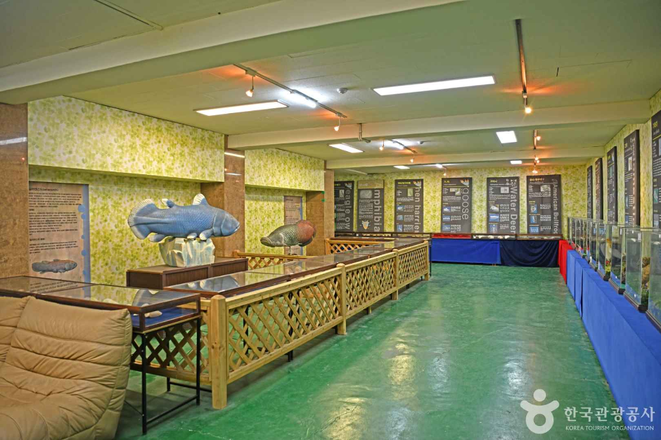 은암자연과학박물관 여행 추천 - 메고지고 은암자연과학박물관 여행 추천 - 메고지고