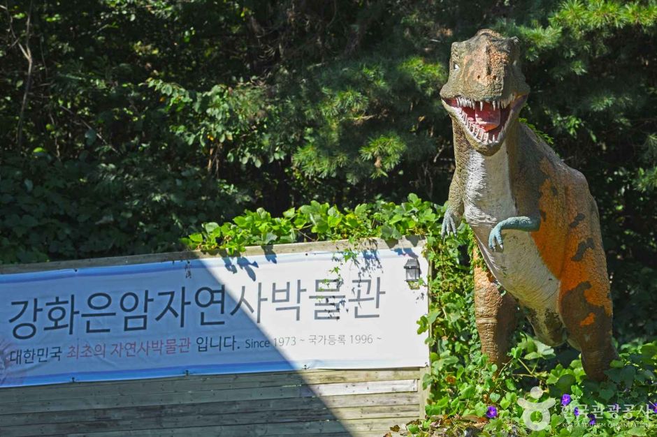 은암자연과학박물관 여행 추천 - 메고지고 은암자연과학박물관 여행 추천 - 메고지고