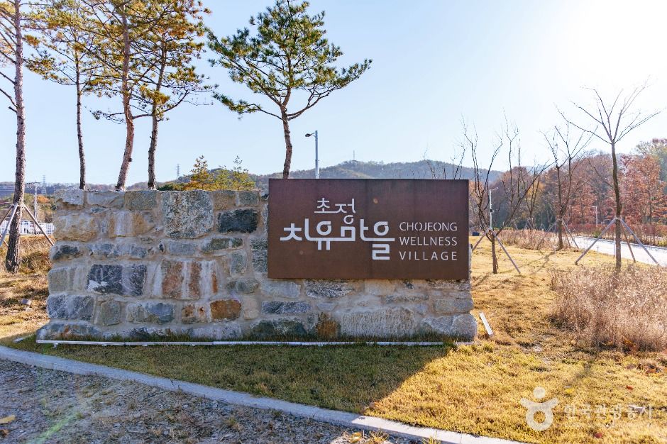 초정치유마을 여행 추천 - 메고지고 초정치유마을 여행 추천 - 메고지고
