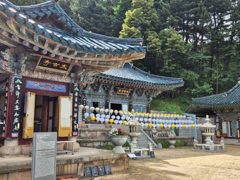 태고사 여행 추천 - 메고지고