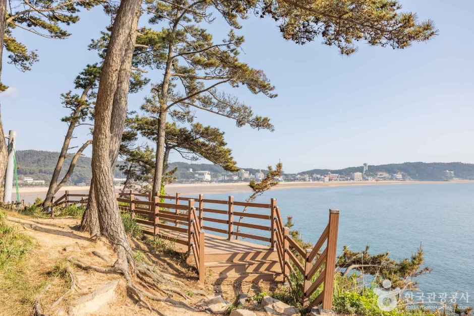 뭍닭섬 산책로 여행 추천 - 메고지고