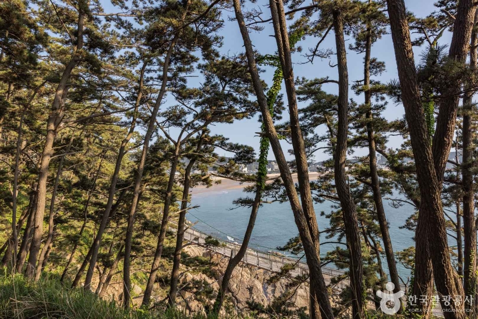 뭍닭섬 산책로 여행 추천 - 메고지고