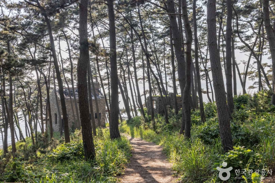 뭍닭섬 산책로 여행 추천 - 메고지고