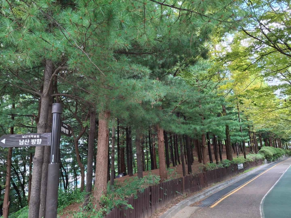 대현산배수지공원·대현산배수지공원 모노레일 여행 추천 - 메고지고 대현산배수지공원·대현산배수지공원 모노레일 여행 추천 - 메고지고