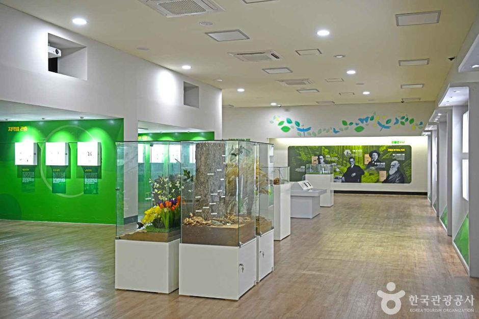 인제곤충바이오센터 여행 추천 - 메고지고 인제곤충바이오센터 여행 추천 - 메고지고