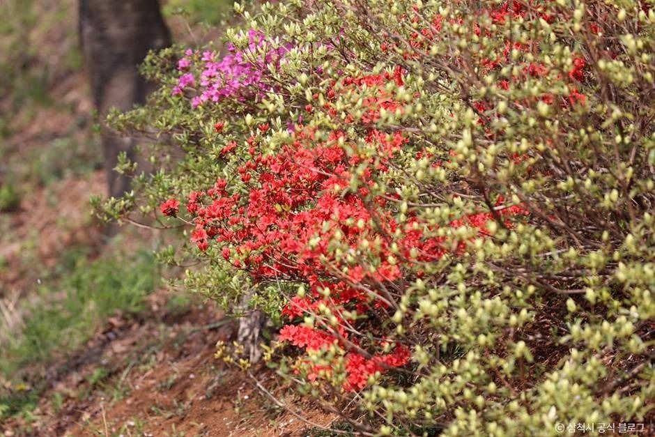 봉황산산림욕장 여행 추천 - 메고지고 봉황산산림욕장 여행 추천 - 메고지고