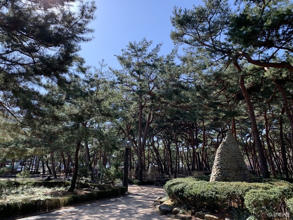 솔밭근린공원 여행 추천 - 메고지고