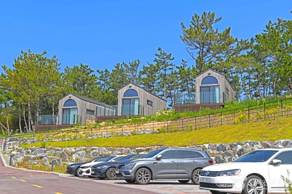 변산반도 생태탐방원 여행 추천 - 메고지고 변산반도 생태탐방원 여행 추천 - 메고지고