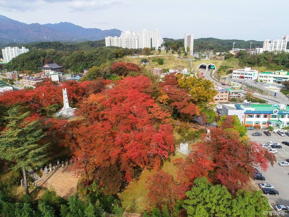 현산공원 여행 추천 - 메고지고 현산공원 여행 추천 - 메고지고