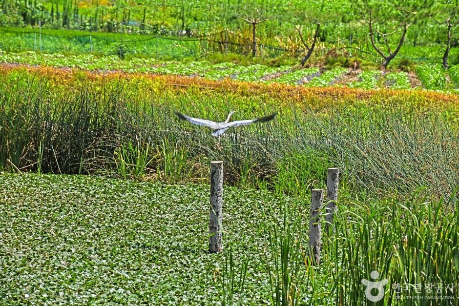 금곡소류지 여행 추천 - 메고지고 금곡소류지 여행 추천 - 메고지고
