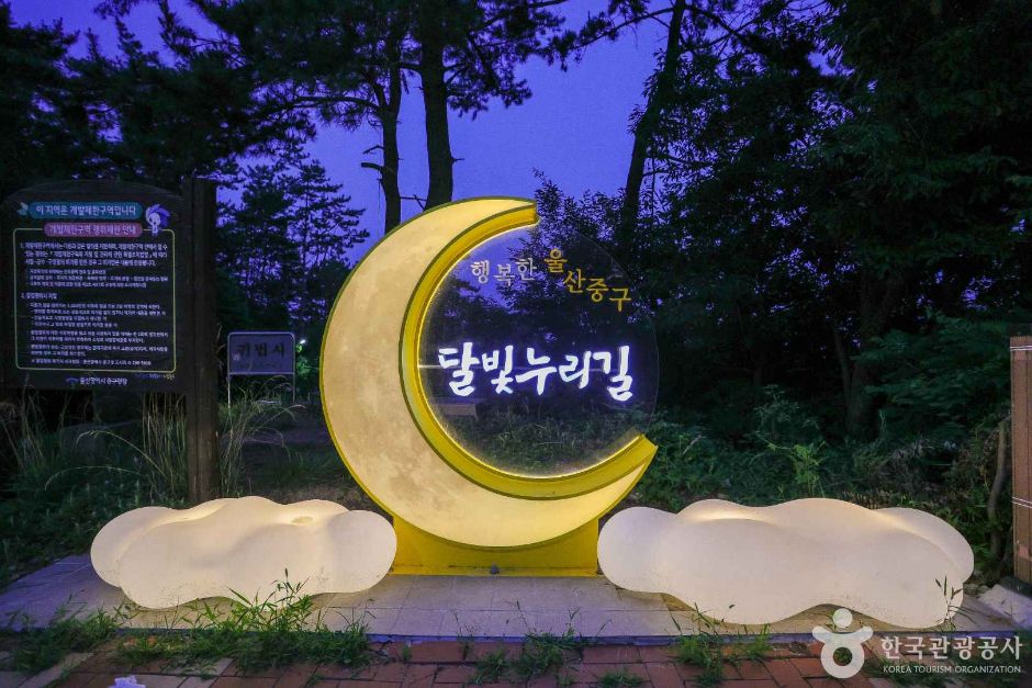 달빛야경누리길 여행 추천 - 메고지고 달빛야경누리길 여행 추천 - 메고지고
