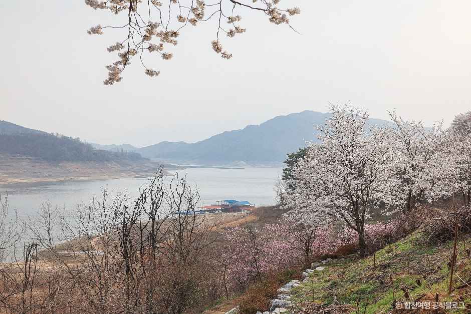 꿈꾸는캠핑장 여행 추천 - 메고지고