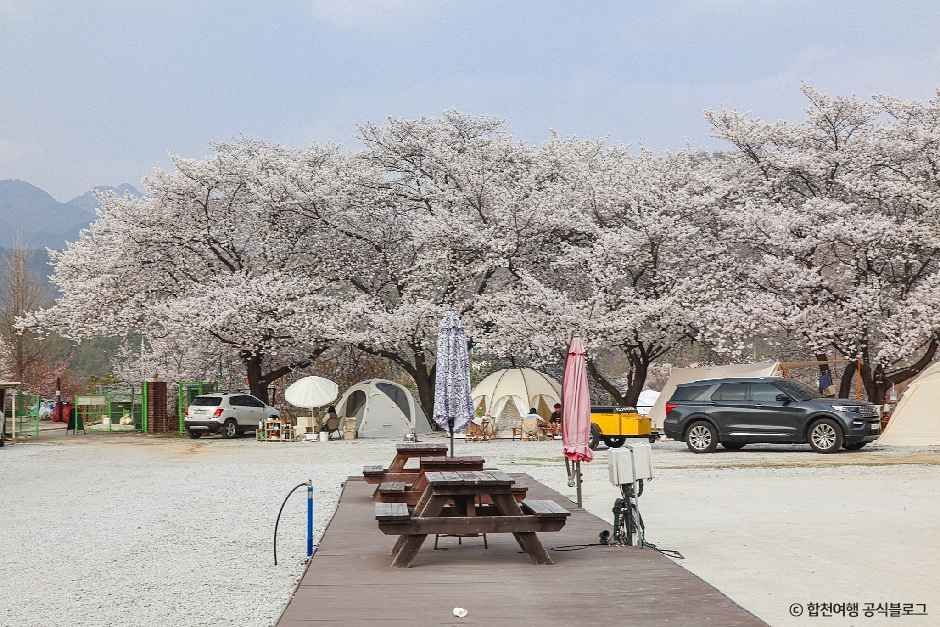 꿈꾸는캠핑장 여행 추천 - 메고지고