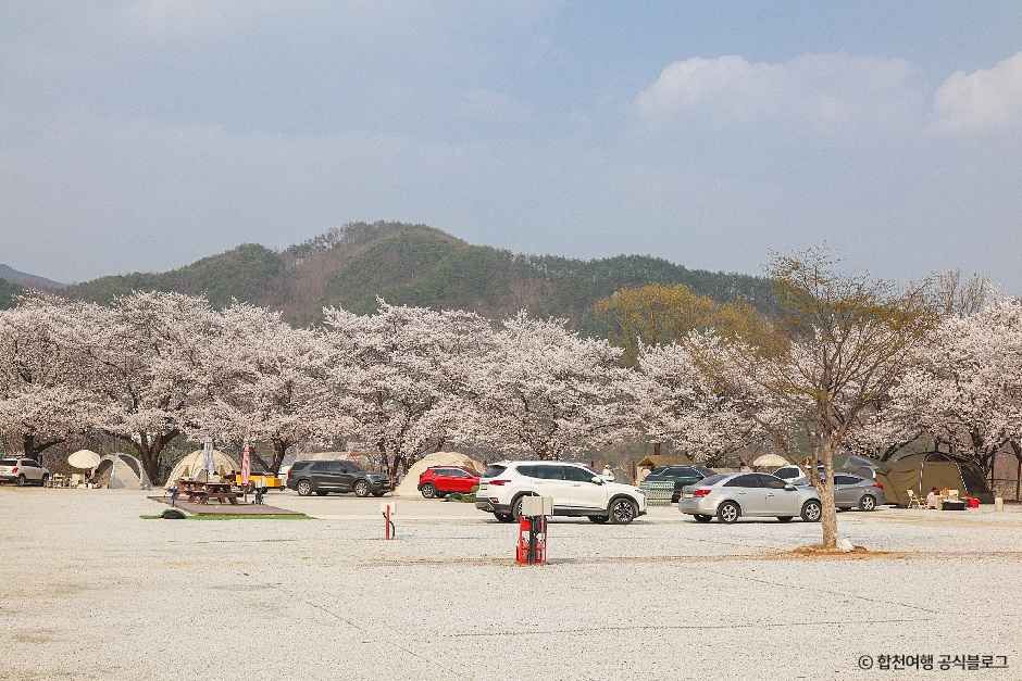 꿈꾸는캠핑장 여행 추천 - 메고지고