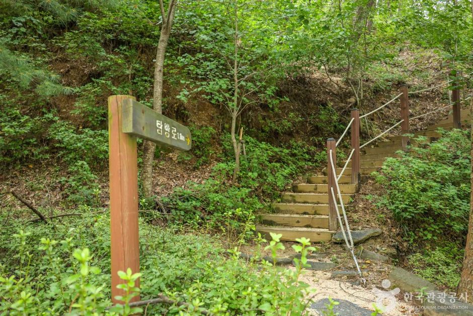 초지공원 (대별수변공원) 여행 추천 - 메고지고