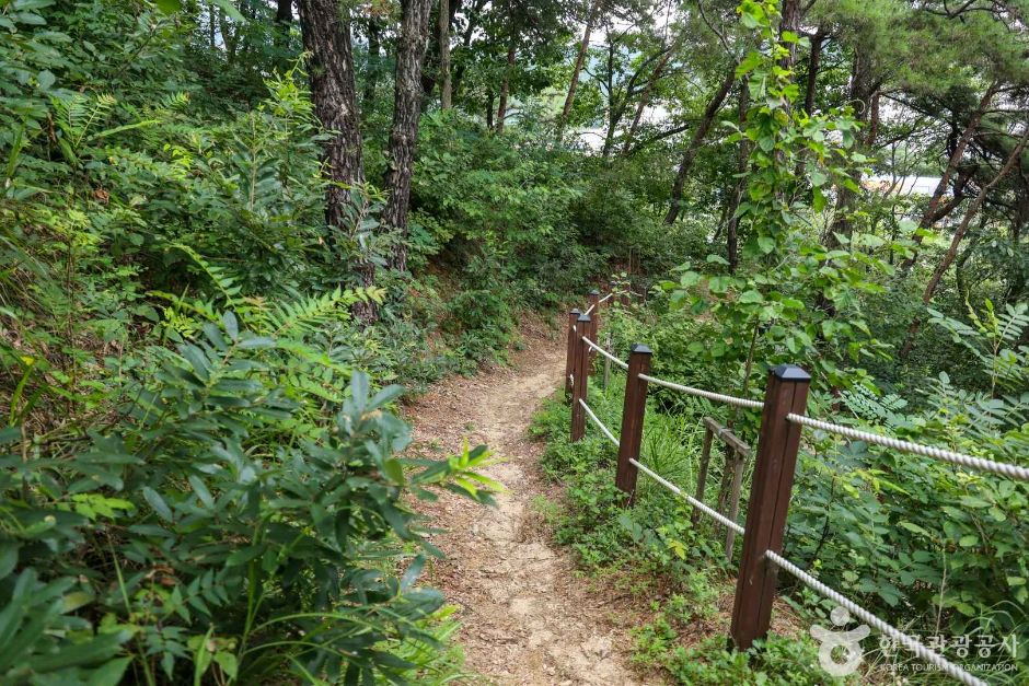초지공원 (대별수변공원) 여행 추천 - 메고지고