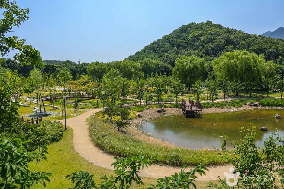 대구 대표 도시숲 여행 추천 - 메고지고
