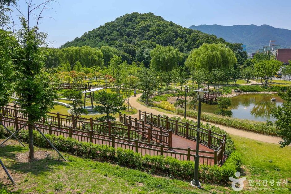 대구 대표 도시숲 여행 추천 - 메고지고