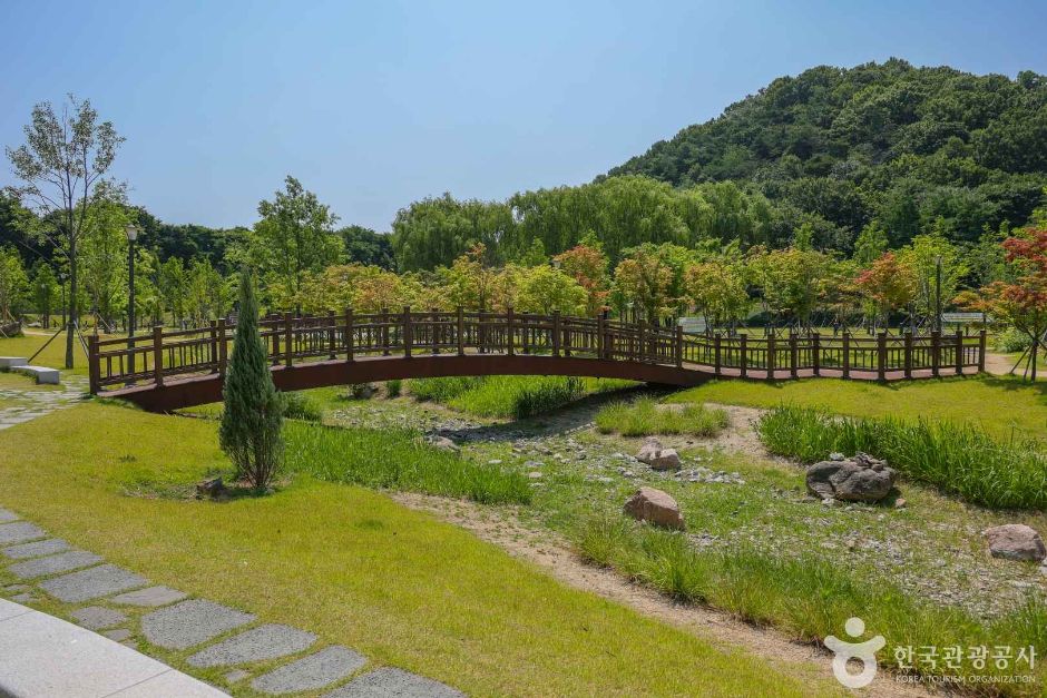 대구 대표 도시숲 여행 추천 - 메고지고