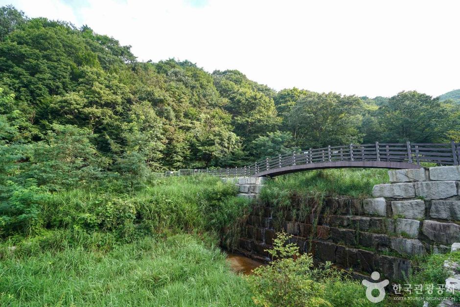 산삼 자연휴양림 여행 추천 - 메고지고 산삼 자연휴양림 여행 추천 - 메고지고