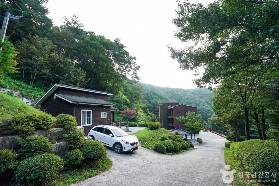 산삼 자연휴양림 여행 추천 - 메고지고 산삼 자연휴양림 여행 추천 - 메고지고
