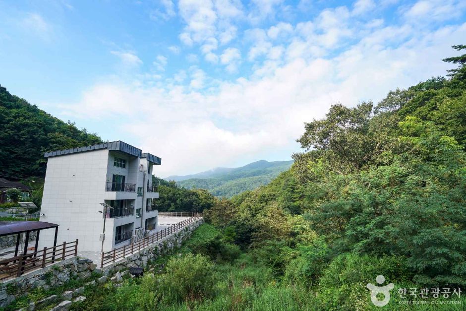 산삼 자연휴양림 여행 추천 - 메고지고 산삼 자연휴양림 여행 추천 - 메고지고