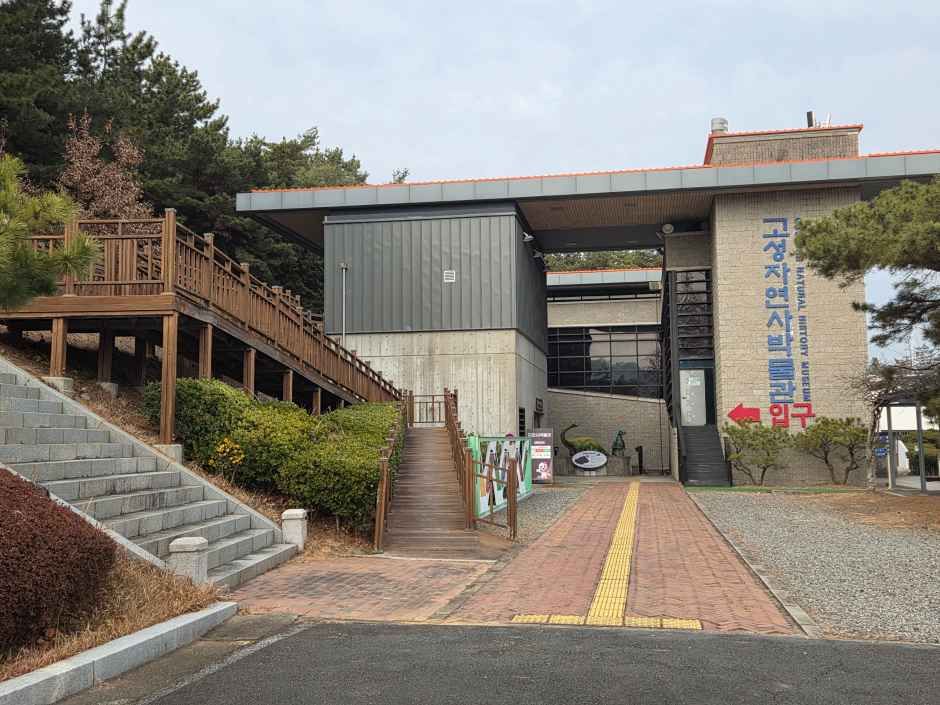 고성자연사박물관 여행 추천 - 메고지고 고성자연사박물관 여행 추천 - 메고지고