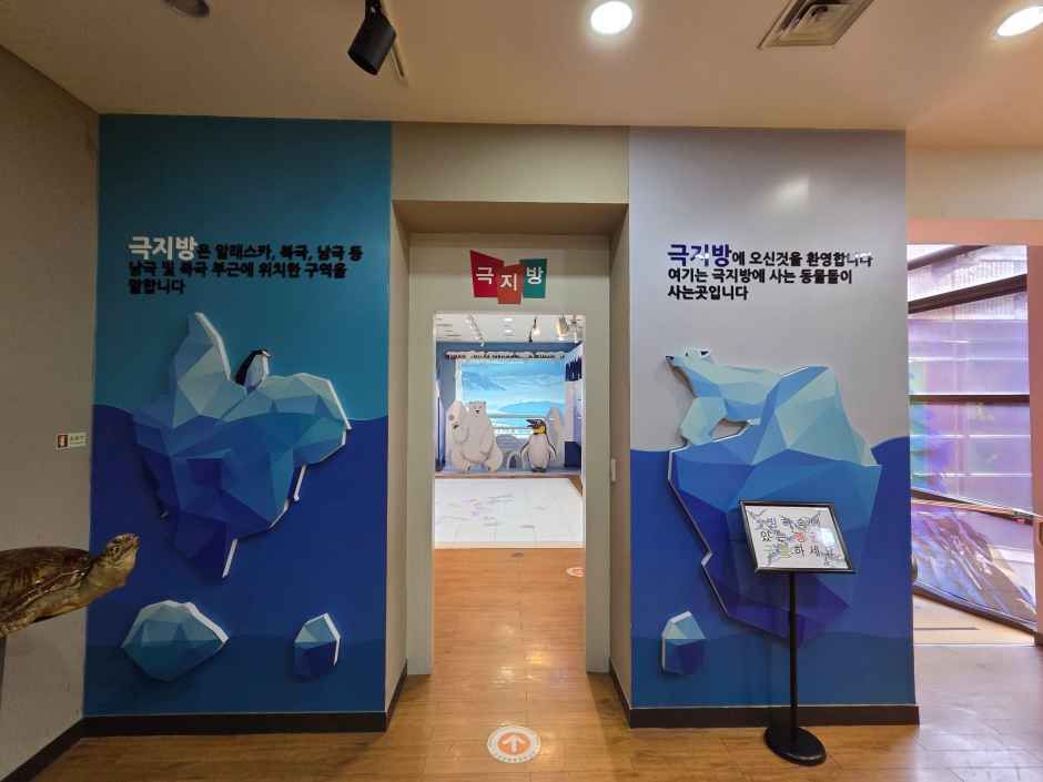 고성자연사박물관 여행 추천 - 메고지고 고성자연사박물관 여행 추천 - 메고지고