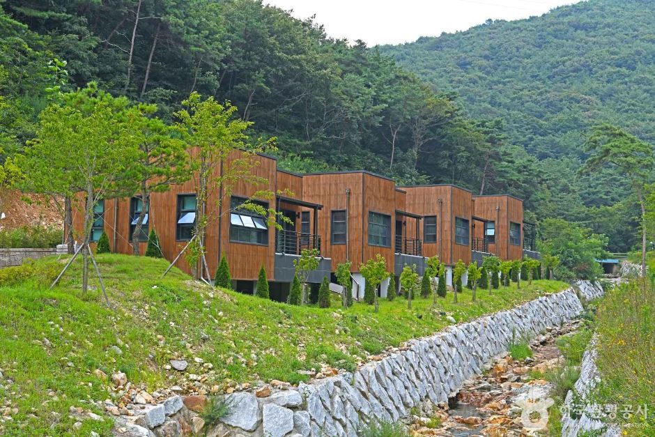 선암 자연휴양림 여행 추천 - 메고지고 선암 자연휴양림 여행 추천 - 메고지고
