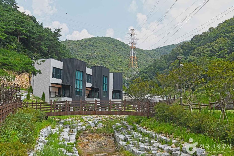 선암 자연휴양림 여행 추천 - 메고지고 선암 자연휴양림 여행 추천 - 메고지고