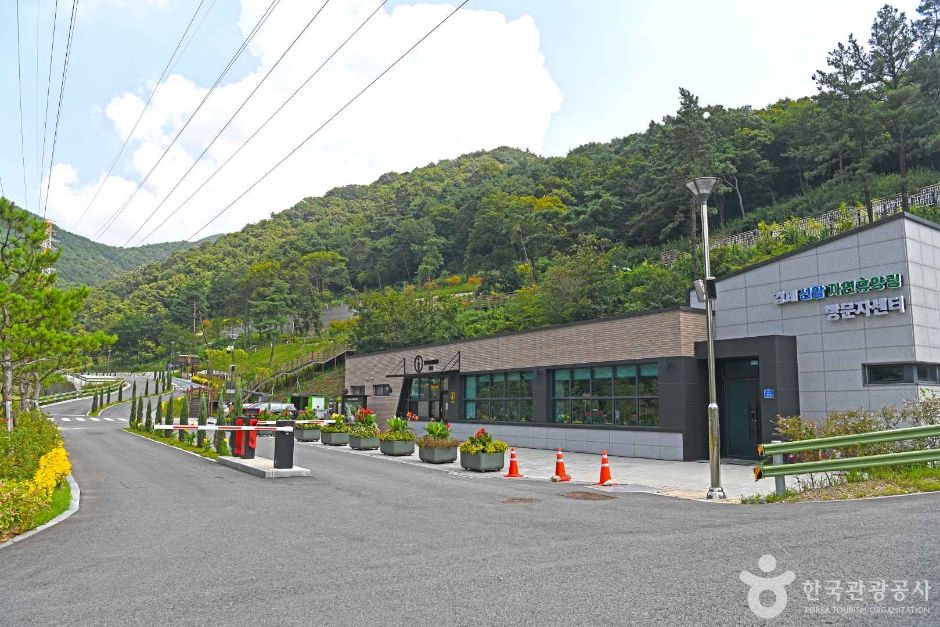 선암 자연휴양림 여행 추천 - 메고지고 선암 자연휴양림 여행 추천 - 메고지고