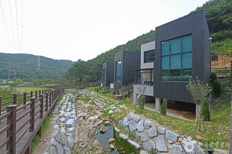선암 자연휴양림 여행 추천 - 메고지고 선암 자연휴양림 여행 추천 - 메고지고