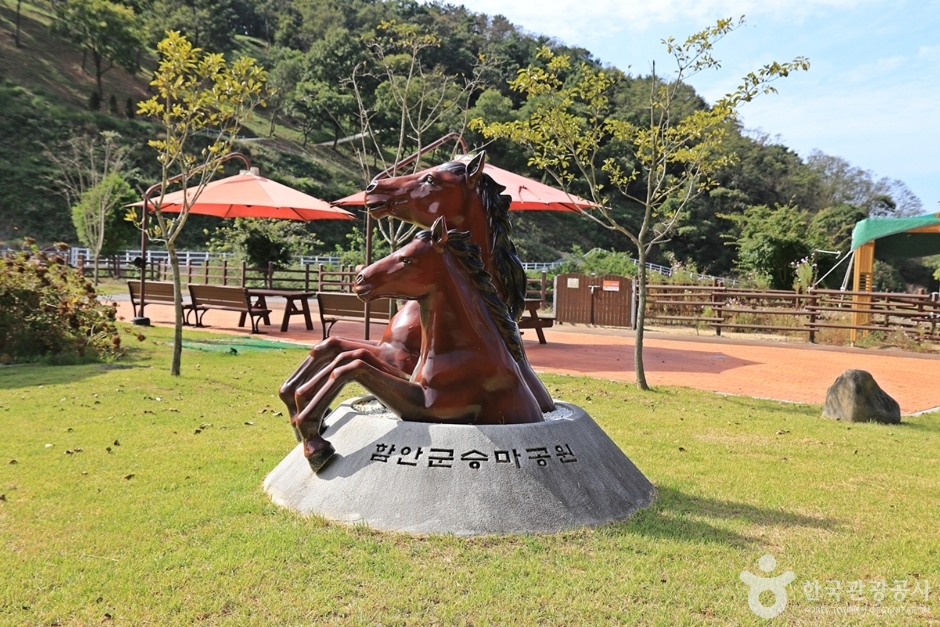 함안군승마공원 여행 추천 - 메고지고 함안군승마공원 여행 추천 - 메고지고
