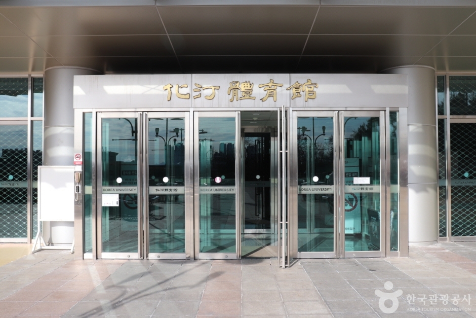 고려대학교 서울캠퍼스화정체육관 여행 추천 - 메고지고 고려대학교 서울캠퍼스화정체육관 여행 추천 - 메고지고