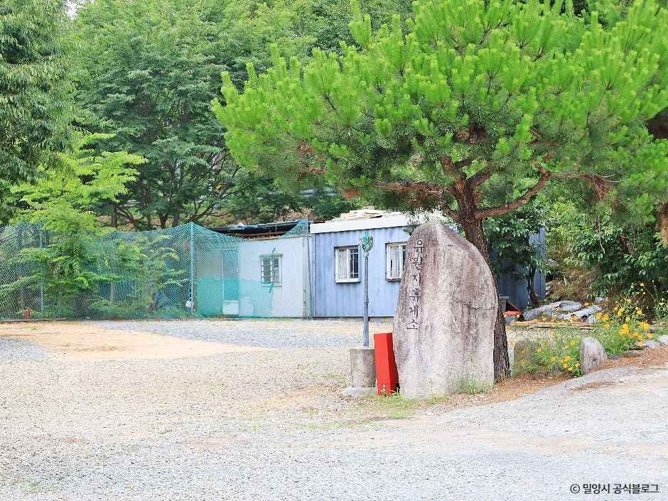 밀양유원지오토캠핑장 여행 추천 - 메고지고 밀양유원지오토캠핑장 여행 추천 - 메고지고