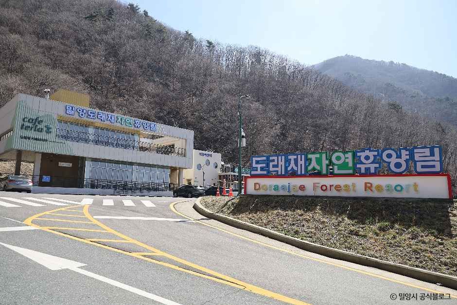 밀양 도래재 자연휴양림 여행 추천 - 메고지고 밀양 도래재 자연휴양림 여행 추천 - 메고지고