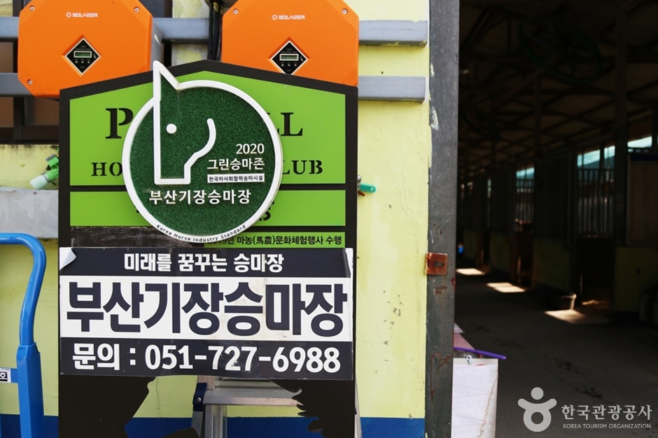 부산기장승마장 여행 추천 - 메고지고 부산기장승마장 여행 추천 - 메고지고