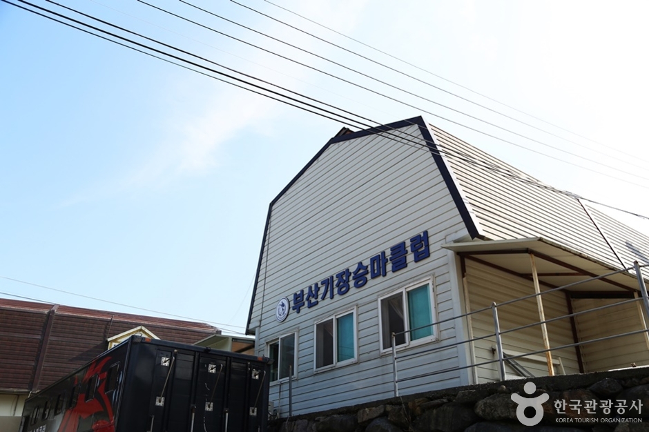 부산기장승마장 여행 추천 - 메고지고 부산기장승마장 여행 추천 - 메고지고