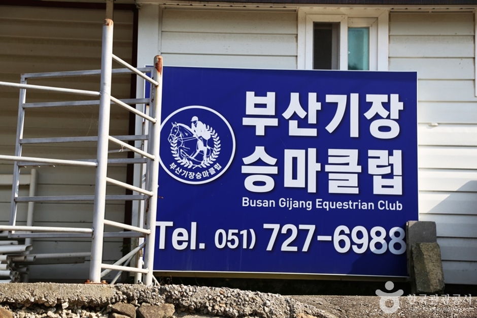 부산기장승마장 여행 추천 - 메고지고 부산기장승마장 여행 추천 - 메고지고