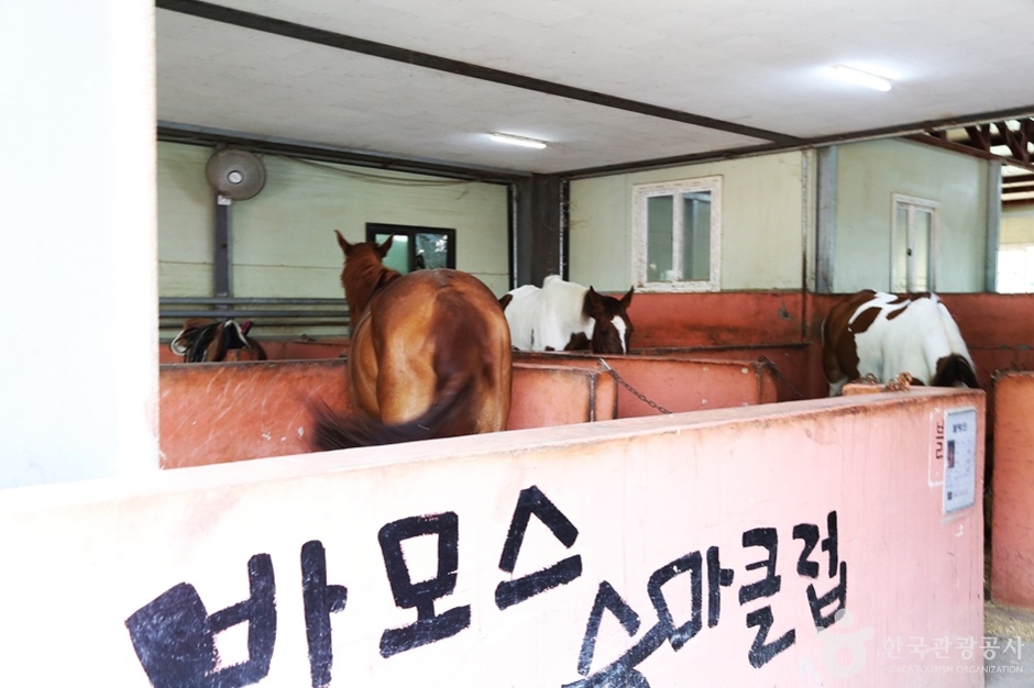 바모스승마클럽 여행 추천 - 메고지고