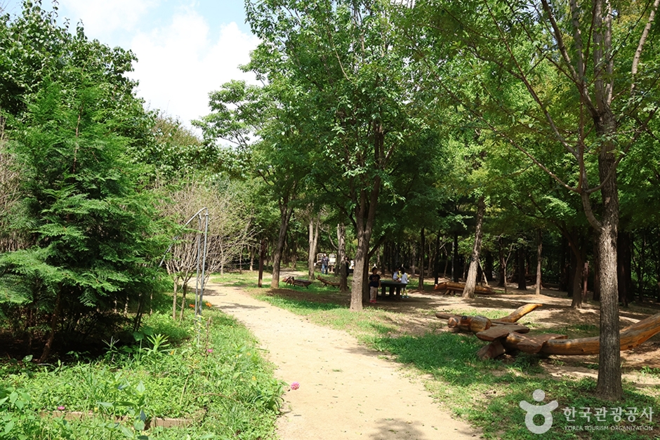 월드컵공원 유아숲체험원 여행 추천 - 메고지고 월드컵공원 유아숲체험원 여행 추천 - 메고지고