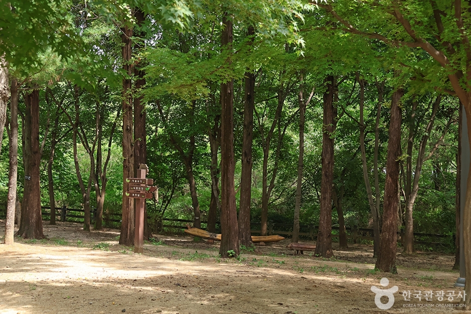 월드컵공원 유아숲체험원 여행 추천 - 메고지고 월드컵공원 유아숲체험원 여행 추천 - 메고지고
