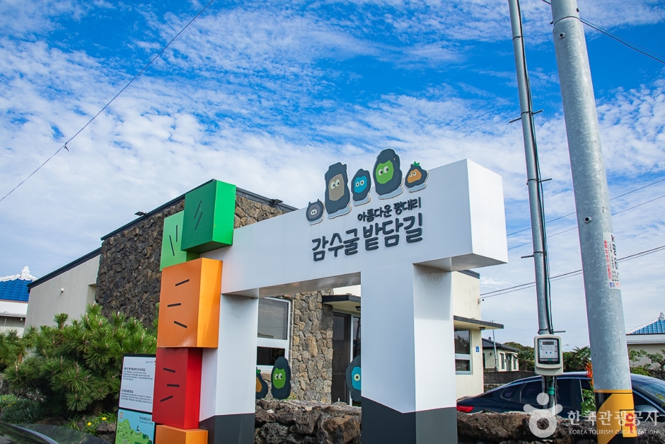 감수굴 밭담길 여행 추천 - 메고지고 감수굴 밭담길 여행 추천 - 메고지고