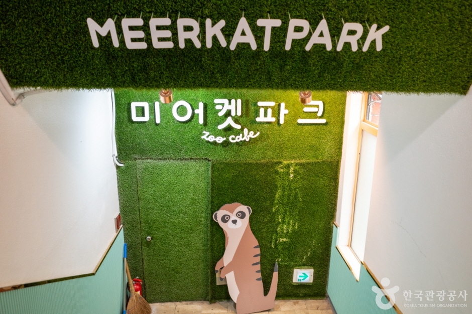 미어캣파크 여행 추천 - 메고지고 미어캣파크 여행 추천 - 메고지고