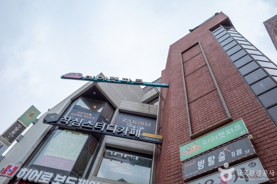 미어캣파크 여행 추천 - 메고지고 미어캣파크 여행 추천 - 메고지고