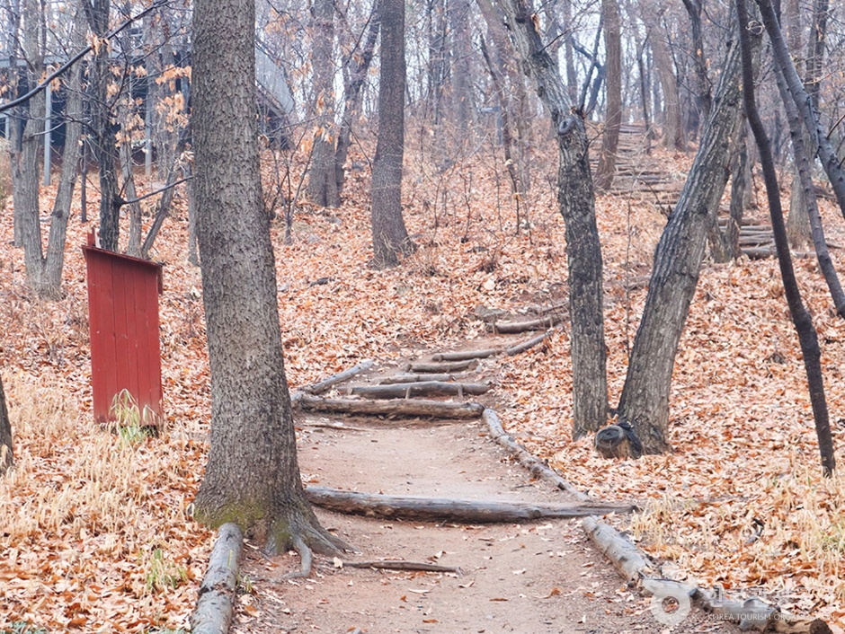봉제산공원 여행 추천 - 메고지고 봉제산공원 여행 추천 - 메고지고