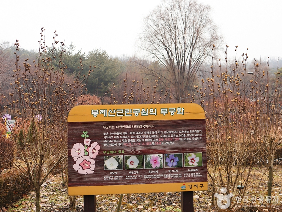 봉제산공원 여행 추천 - 메고지고 봉제산공원 여행 추천 - 메고지고