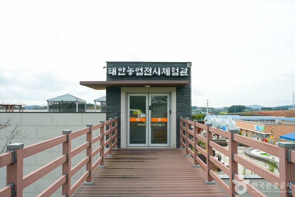 태안 농업 전시 체험관 여행 추천 - 메고지고 태안 농업 전시 체험관 여행 추천 - 메고지고