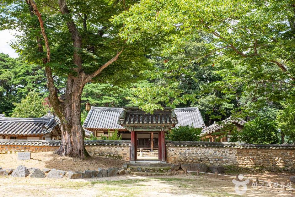 회연서원 여행 추천 - 메고지고 회연서원 여행 추천 - 메고지고