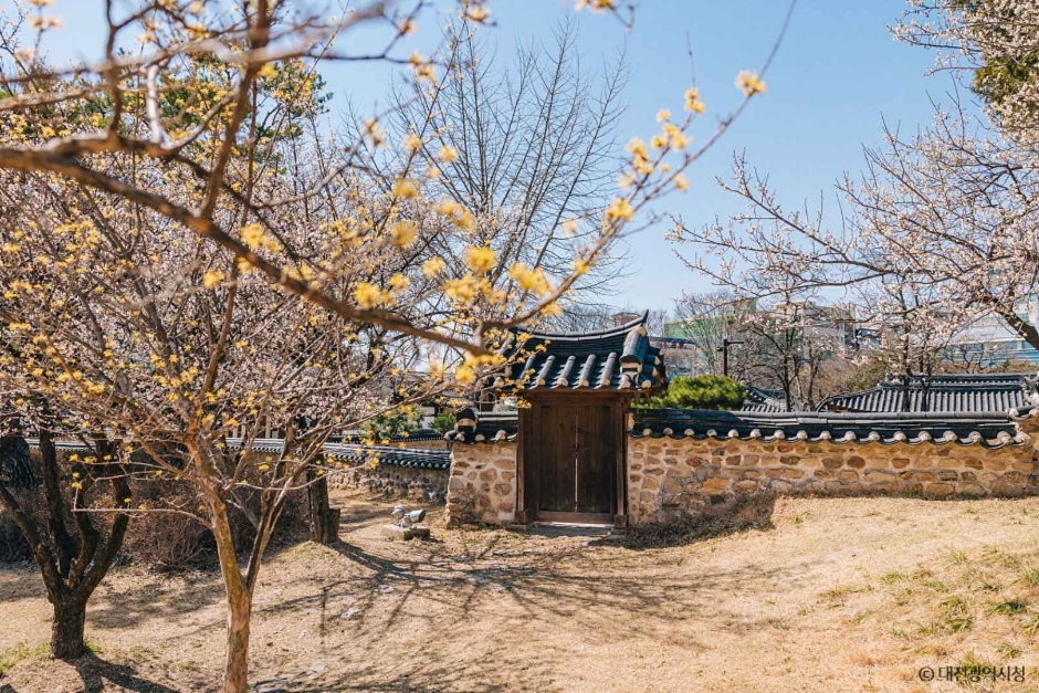 대전 회덕 동춘당 여행 추천 - 메고지고